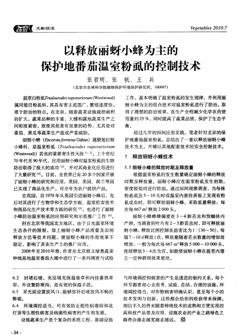 以释放丽蚜小蜂为主的保护地番茄温室粉虱的控制技术