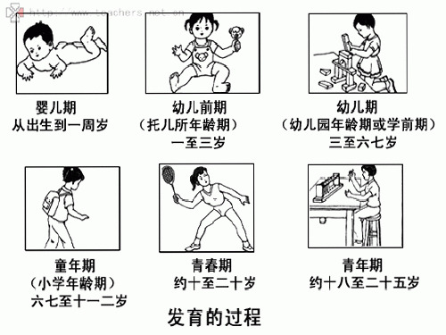 直面青春期 (7)