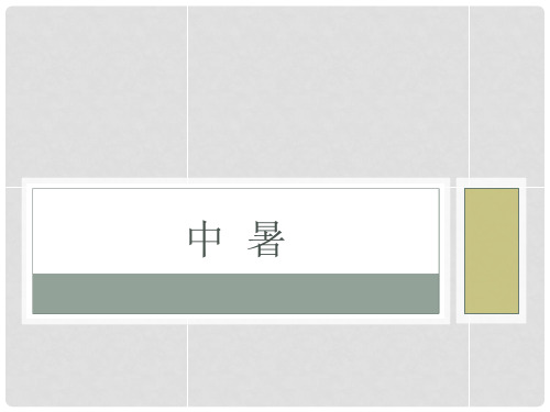 内科学课件：中暑