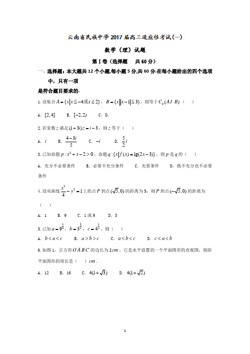 云南省民族中学2017届高三适应性考试(一)理数试题 Word版含答案