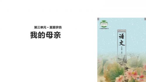 (新)苏教版八年级语文上册第12课《我的母亲》精美课件