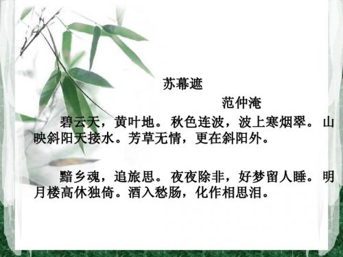 苏幕遮范仲淹
