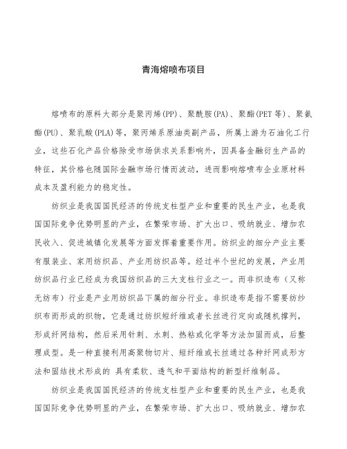 青海熔喷布项目立项申请报告