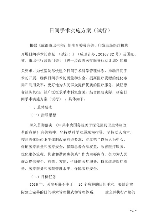 日间手术工作方案