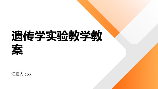 遗传学实验教学教案