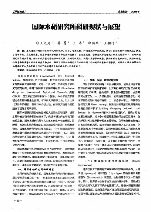国际水稻研究所科研现状与展望