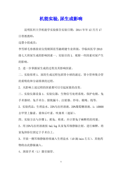 机能实验,尿生成影响