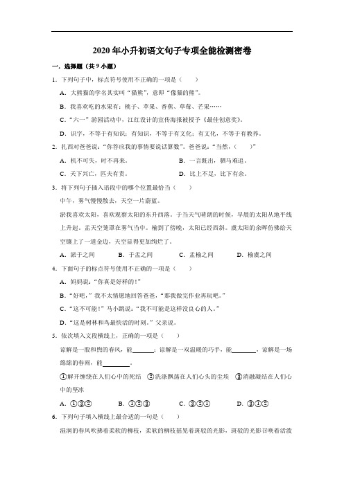 2020年小升初语文句子专项全能检测密卷(含答案)