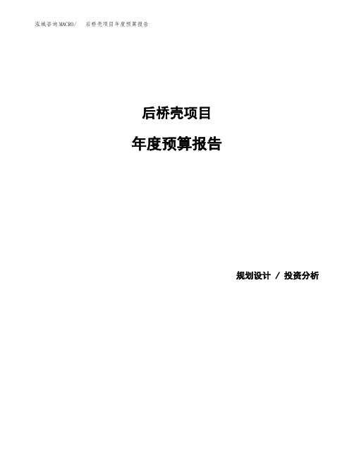 后桥壳项目年度预算报告