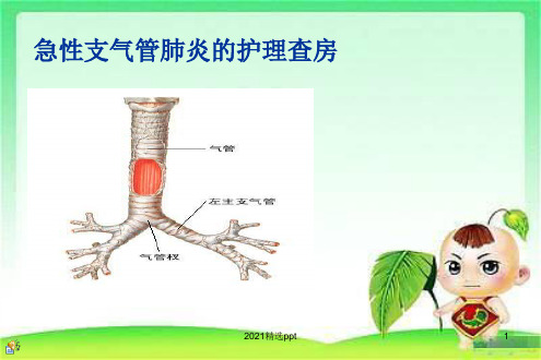 小儿急性支气管炎的护理查房ppt课件