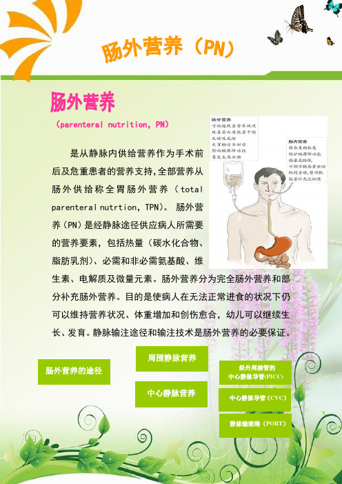 肠外营养