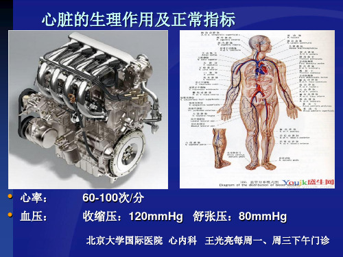 冠心病诊疗 北京大学国际医院 心内科 王光亮医生 ppt课件