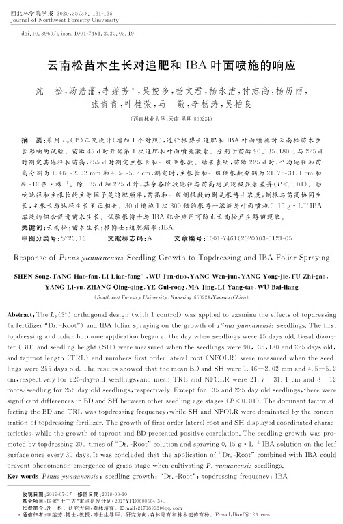 云南松苗木生长对追肥和iba叶面喷施的响应