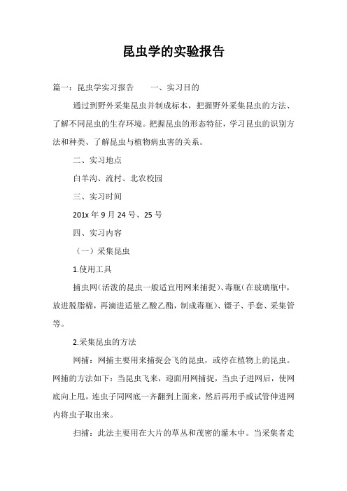 昆虫学的实验报告