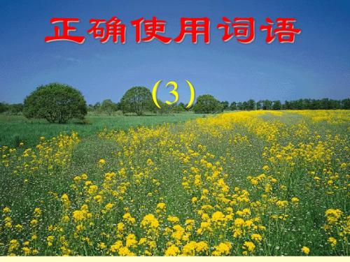 熟语