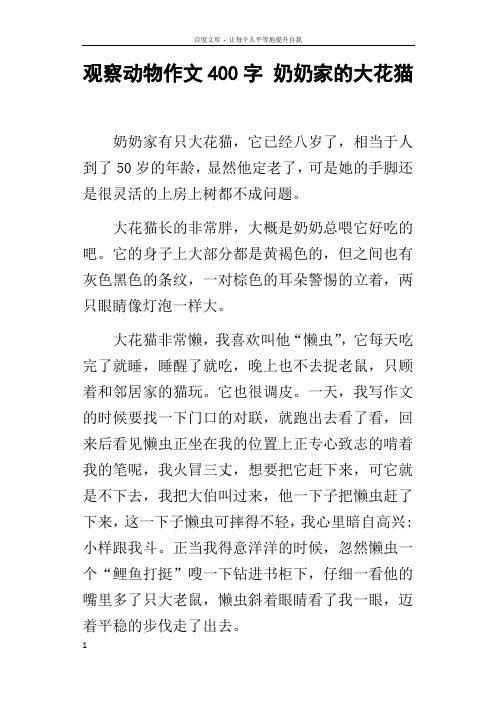 观察动物作文400字奶奶家的大花猫