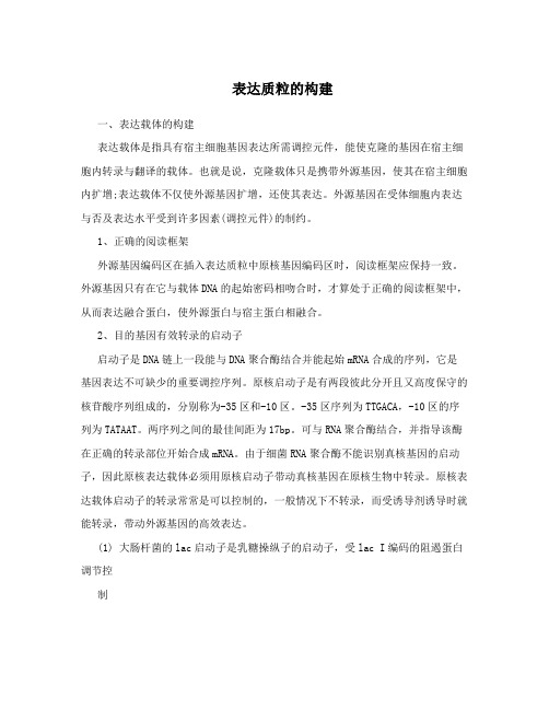 表达质粒的构建