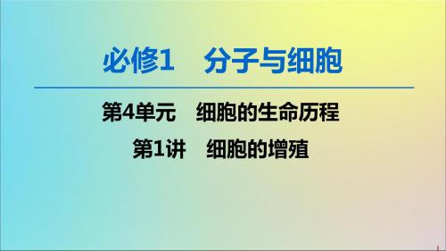 2020版高考生物一轮复习第4单元第1讲细胞的增殖课件新人教版