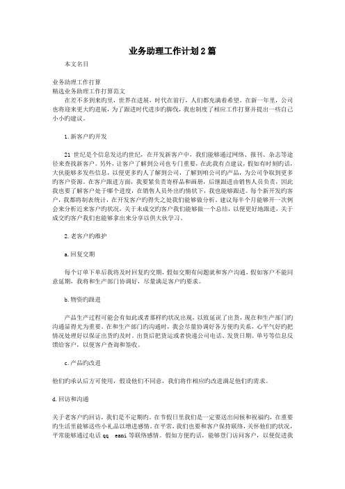 业务助理工作计划2篇.doc