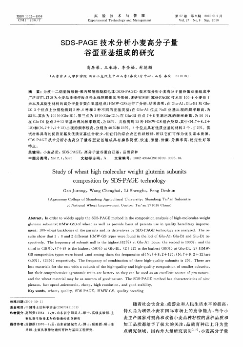SDS-PAGE技术分析小麦高分子量谷蛋亚基组成的研究