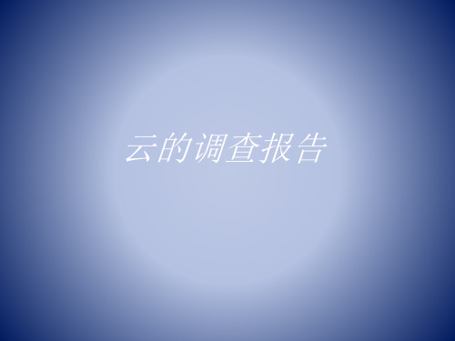 云的调查报告