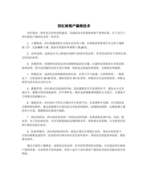 西红柿高产栽培技术