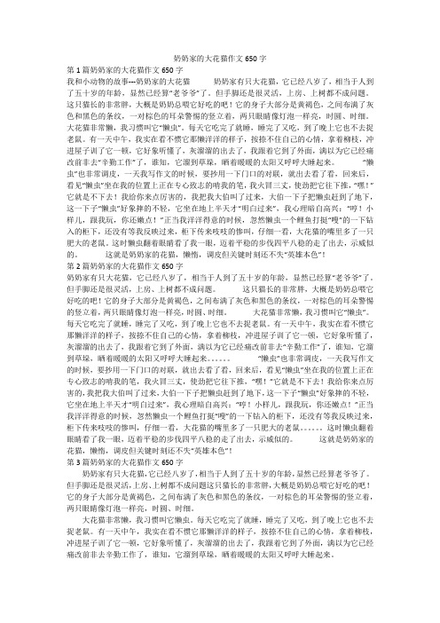 奶奶家的大花猫作文650字