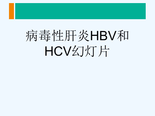 病毒性肝炎HBV和HCV幻灯片