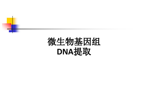 微生物基因组DNA提取ppt课件