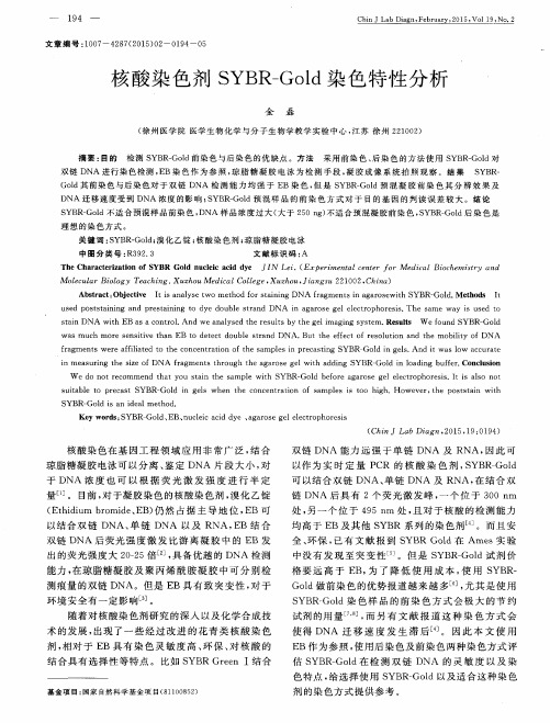 核酸染色剂SYBR—Gold染色特性分析