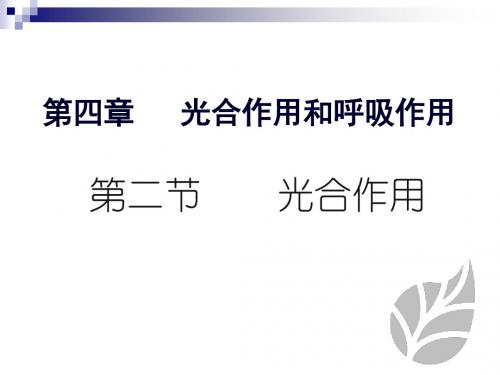 苏教版必修一光合作用课件(40张)