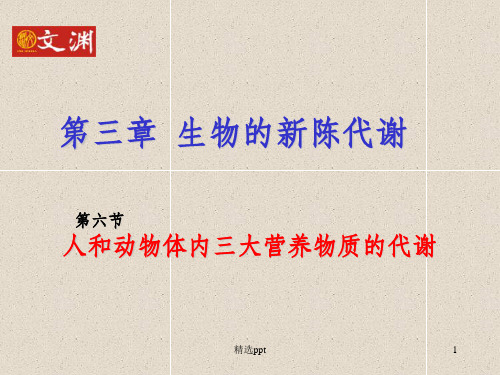 人和动物体内三大营养物质的代谢