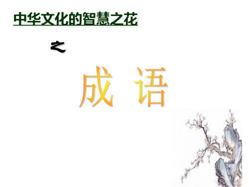 高考语文近义成语辨析分析PPT课件