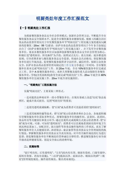 明厨亮灶年度工作汇报范文