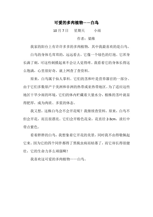 梁维《可爱的多肉植物——白鸟》