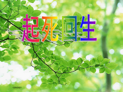 三年级语文下册 第3单元 11《起死回生》课件4 沪教沪教小学三年级下册语文课件