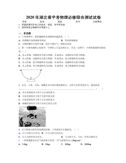 2020年湖北省中考物理必修综合测试试卷附解析