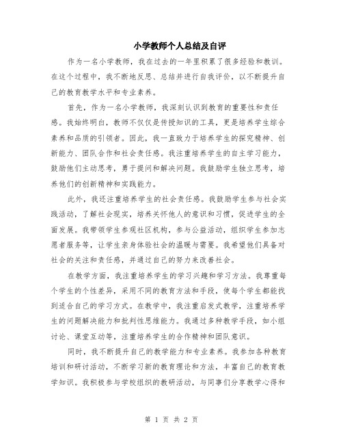 小学教师个人总结及自评