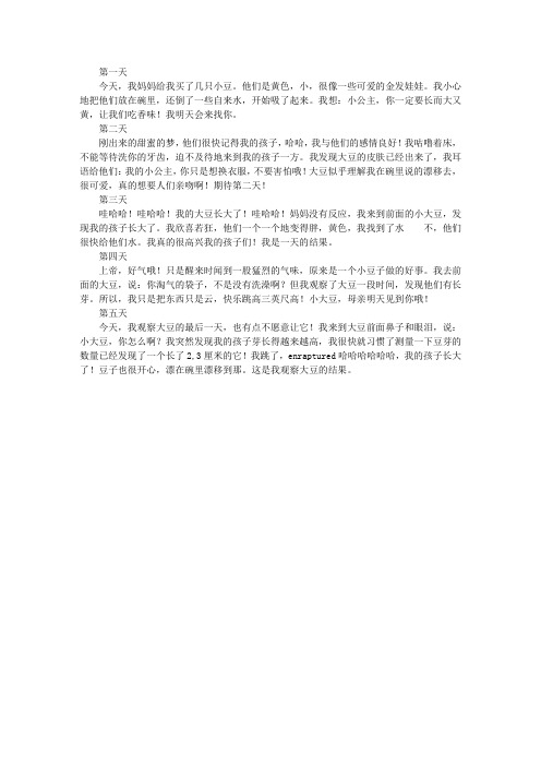 泡豆子