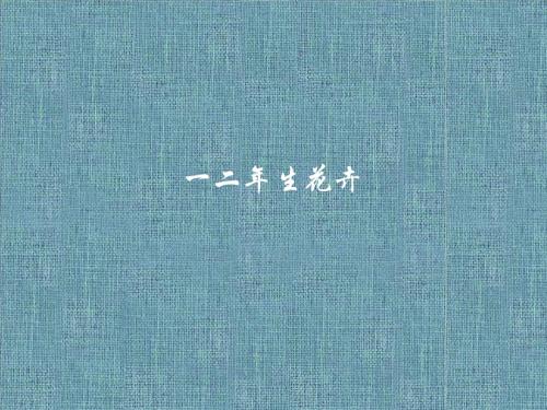 花卉学课件第七章 一二年生花卉