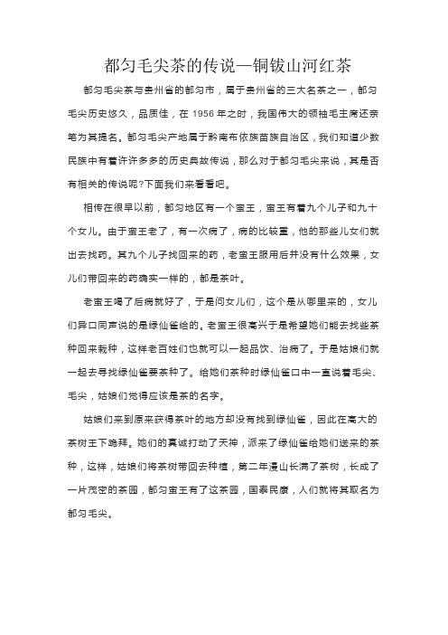都匀毛尖茶的传说—铜钹山河红茶