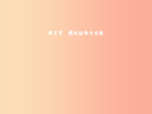 八年级生物上册 第四单元 第一章 第五节 根的结构与功能(第1课时 根的生长)课件 (新版)济南版