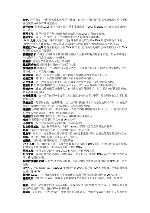 探针