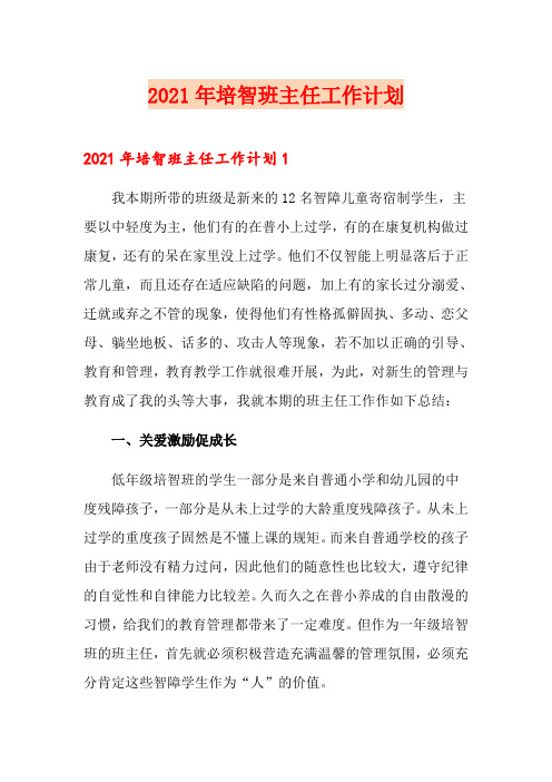 2021年培智班主任工作计划【精选模板】