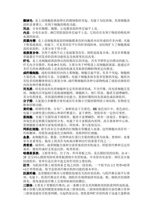 组胚名解大全
