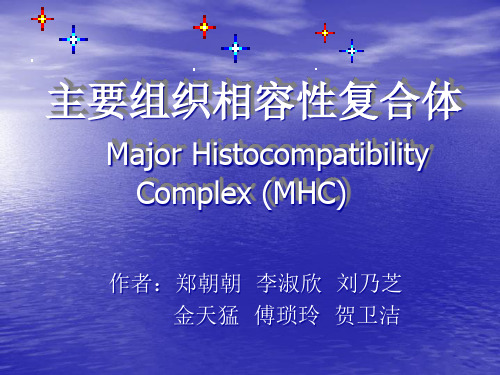 主要组织相容性复合体MajorHistocompatibi