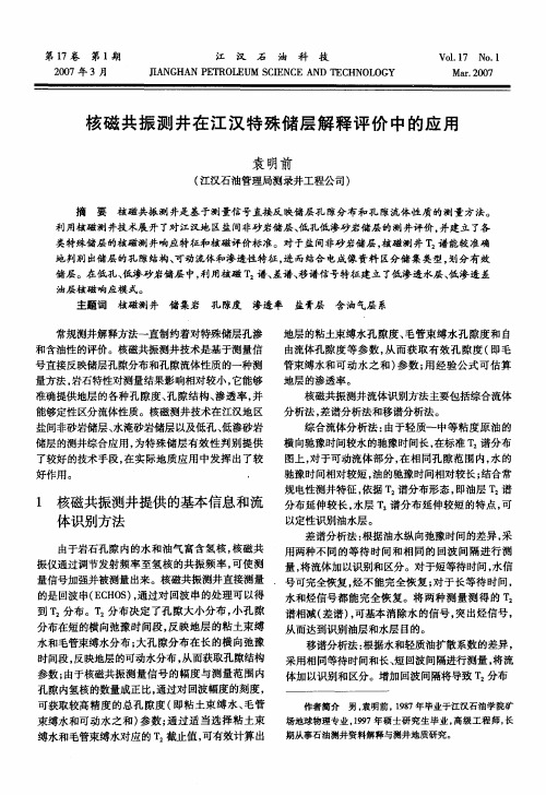 核磁共振测井在江汉特殊储层解释评价中的应用