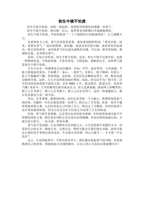 初生牛犊不怕虎