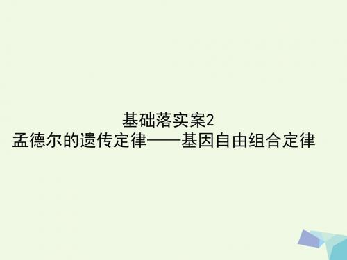 高考生物复习构想遗传的基本规律基础落实案2孟德尔的遗传定律__基因自由组合定律课件新人教版