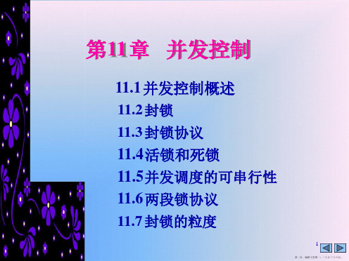 数据库系统概论并发控制